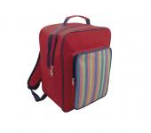 Stylish 17 Liter Backpack Cooler Bag (STRIPE)